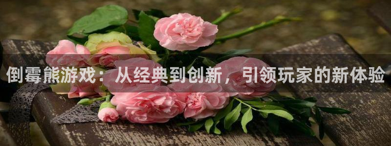 完美电竞官网子股价：倒霉熊游戏：从经典到创新，引领玩家的新体验