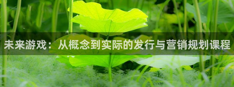 完美电竞登录注册账号失败：未来游戏：从概念到实际的发行与营销规划课程
