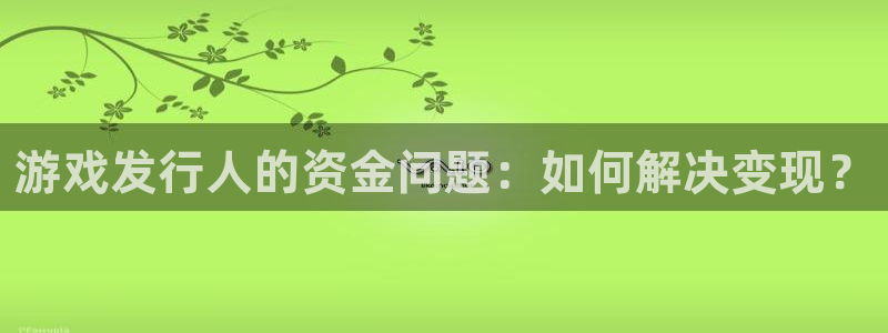 完美电竞挂机项目怎么样啊：游戏发行人的资金问题：如何解决变现？