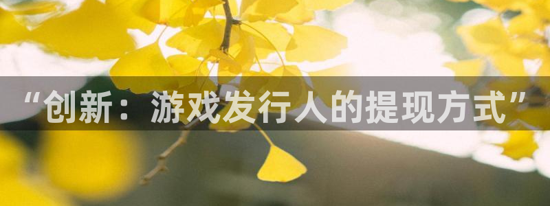 完美电竞注册地址查询：“创新：游戏发行人的提现方式”