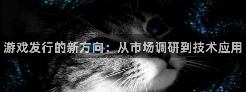 完美电竞官网集团有限公司：游戏发行的新方向：从市场调研到技术应用