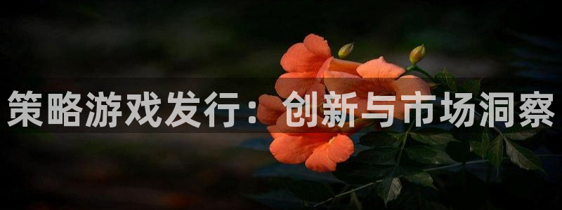 完美电竞官网子文化创意做什么的：策略游戏发行：创新与市场洞察