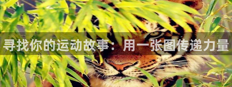 bbin视讯游戏平台