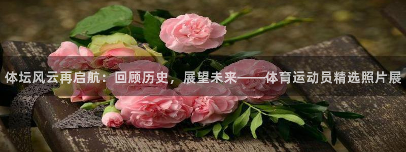 bbin视讯游戏平台