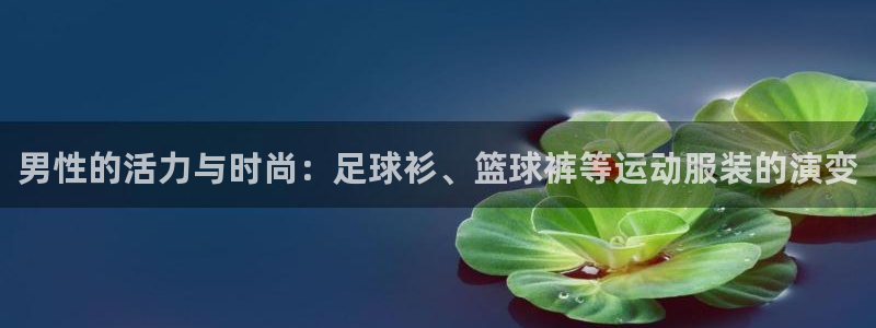 bbin视讯下