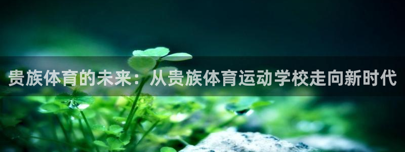 bbin视讯游戏官网